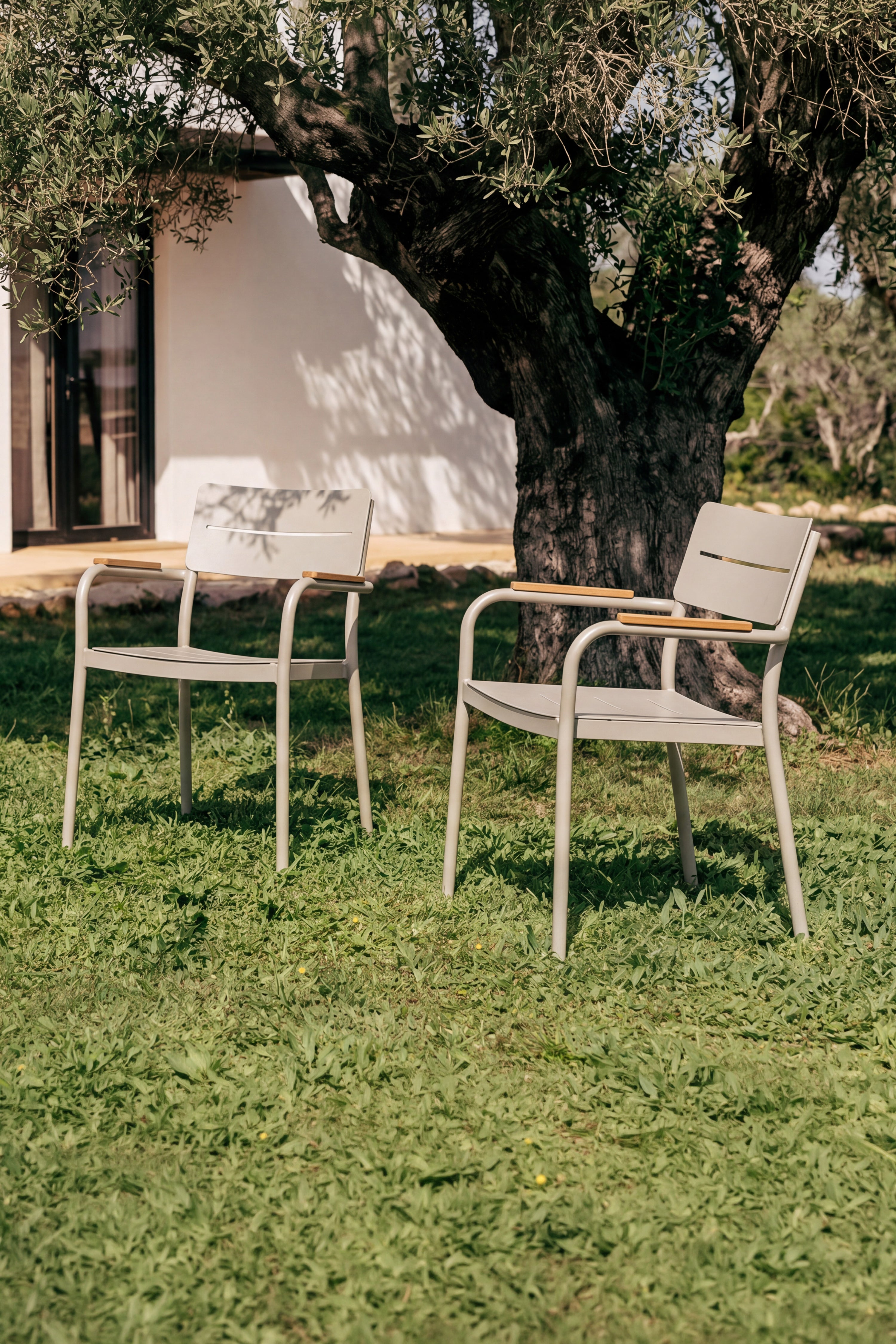 Sedie da esterno Arya, set da 6, Beige e teak - Immagine principale