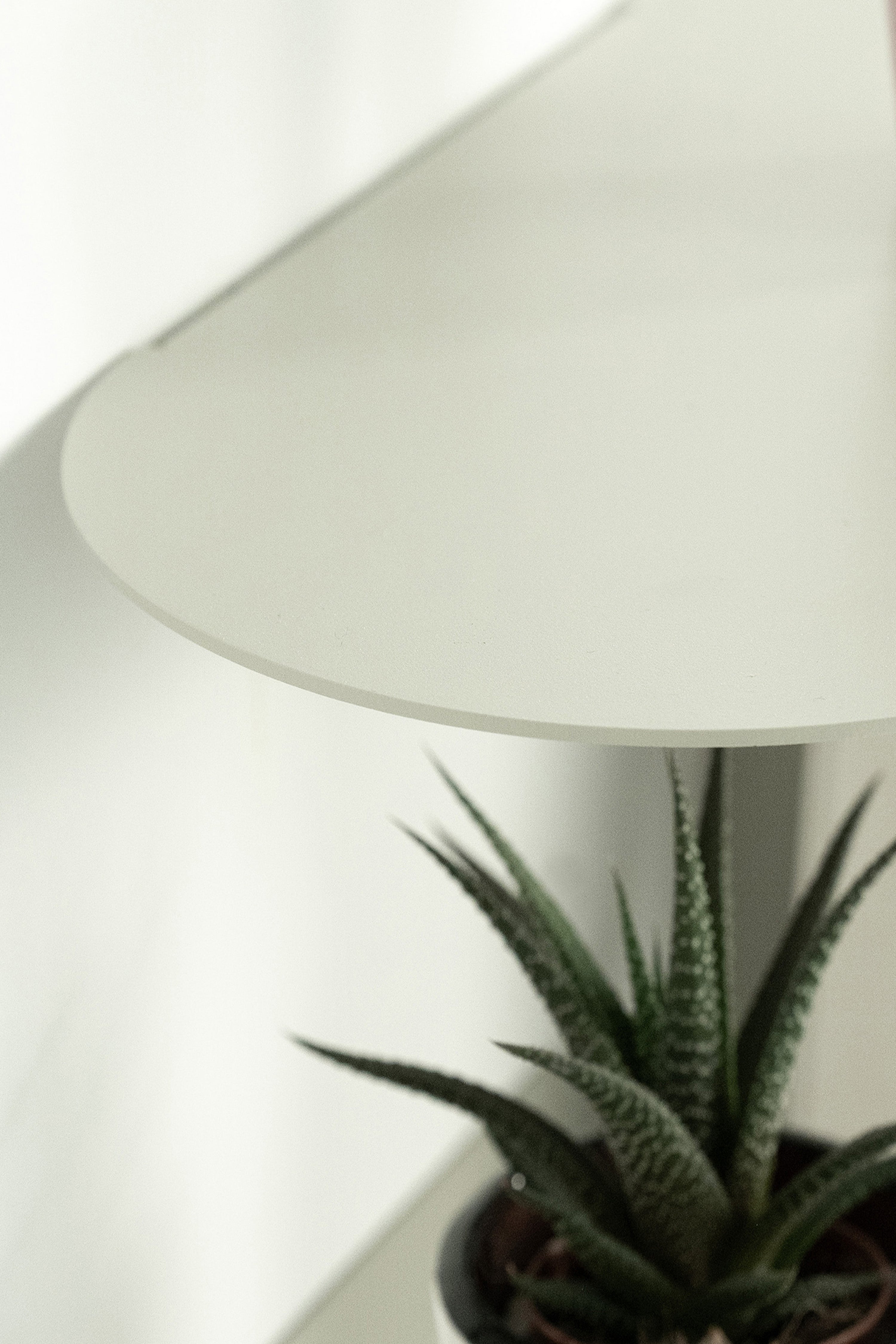 Coppia di mensole in metallo Camilla a C, 60x18x20 cm, Beige - Immagine dettaglio 3