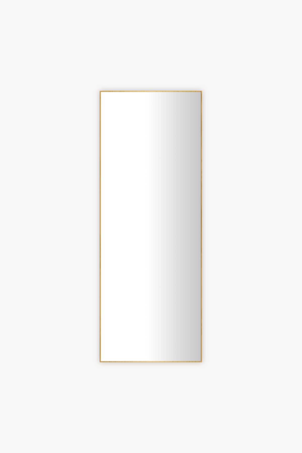 Agata Rectangular Mirror, 160x60 cm, gold aluminium frame - Main image