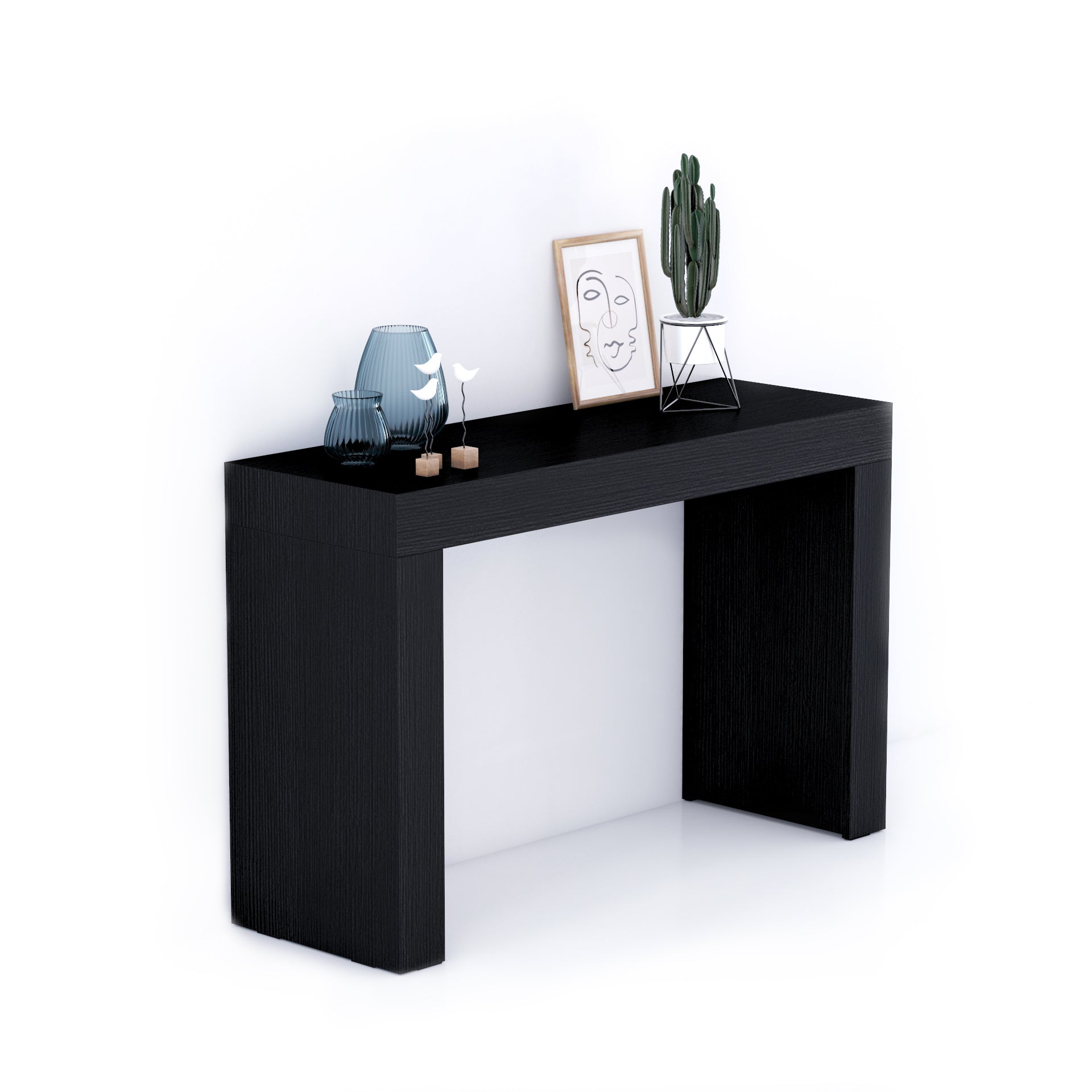 Consolle Ingresso Evolution 120x40, Nero Frassino - Immagine principale