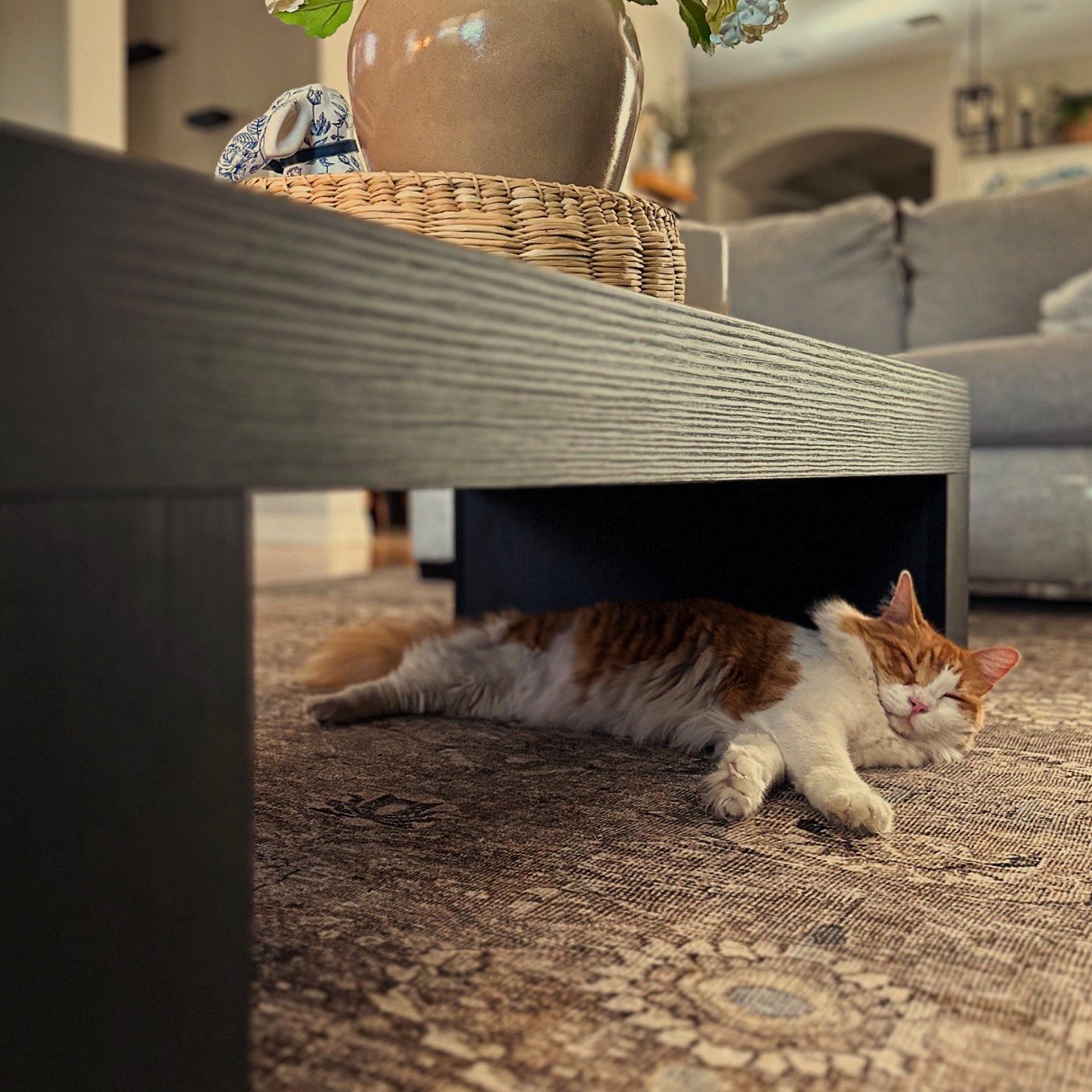 Tavolino Evolution 120x60, Nero Frassino - Immagine ambientata 4