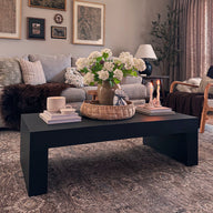 Evolution Coffee Table 120x60, Ashwood Black
