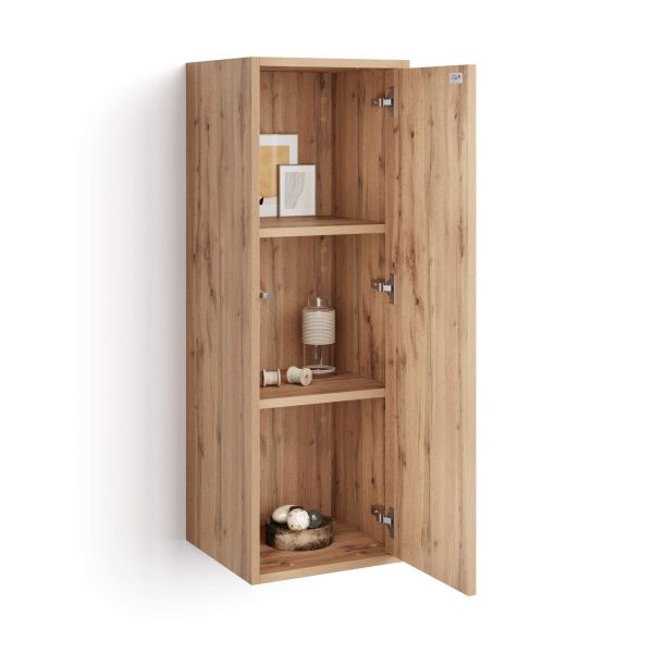 Iacopo Wall Unit 104 with Vertical Door, Rustic Oak detail image 1