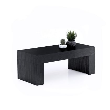 Evolution low Coffee Table 35.4 x 15.7 in, Ashwood Black main image